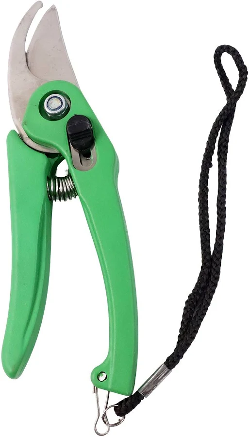 Pruning Shears