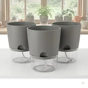 Self-Watering Pots